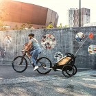 Thule Chariot Lite (vienvietis) agavos žalia 10203021